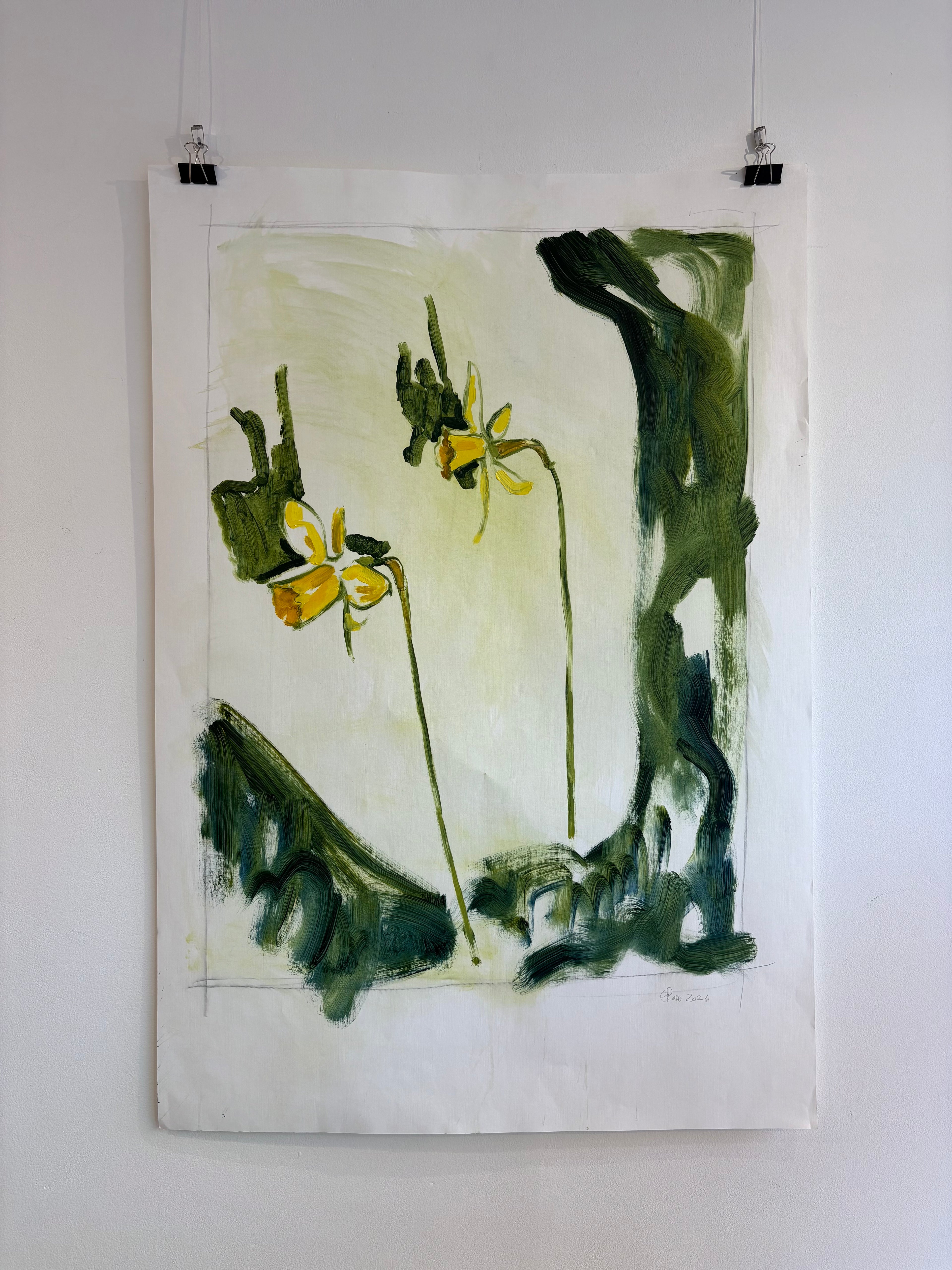 Narcissus