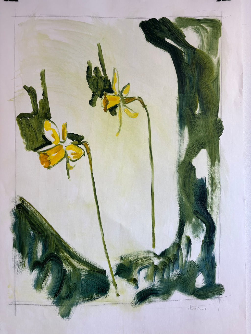 Narcissus